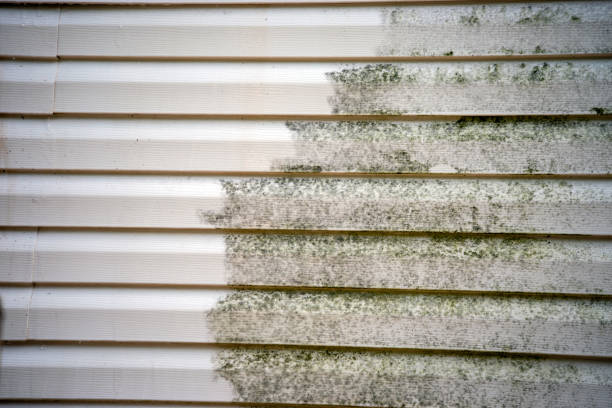 Moving and Downsizing Cleanouts in Bay Springs, MS